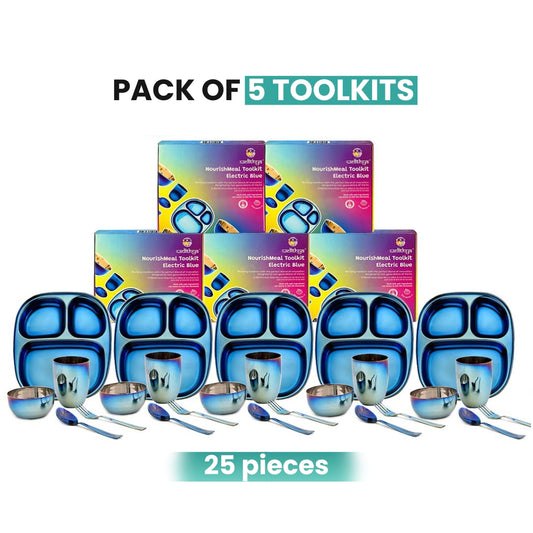 Electric Blue Steel Dinnerware Set – 5-Pack Family Toolkit