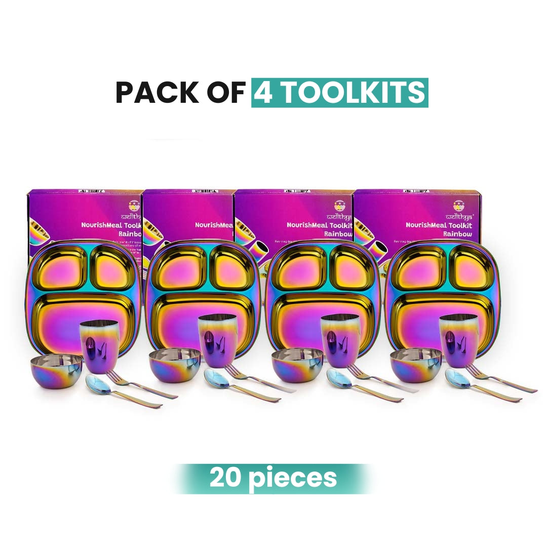 Rainbow Colour Steel Dinnerware Set – 4-Pack Family Toolkit