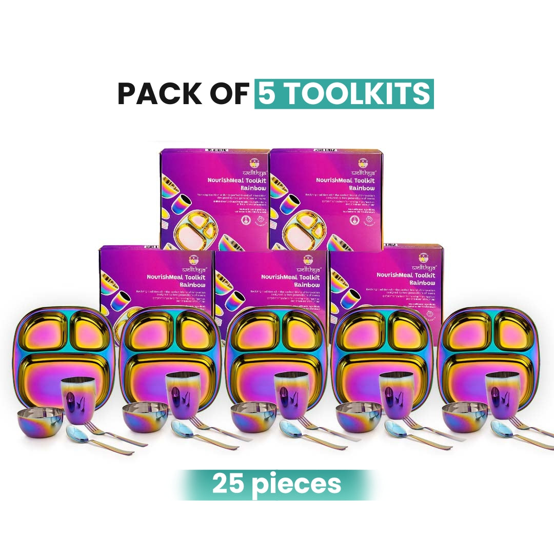 Rainbow Colour Steel Dinnerware Set – 5-Pack Family Toolkit