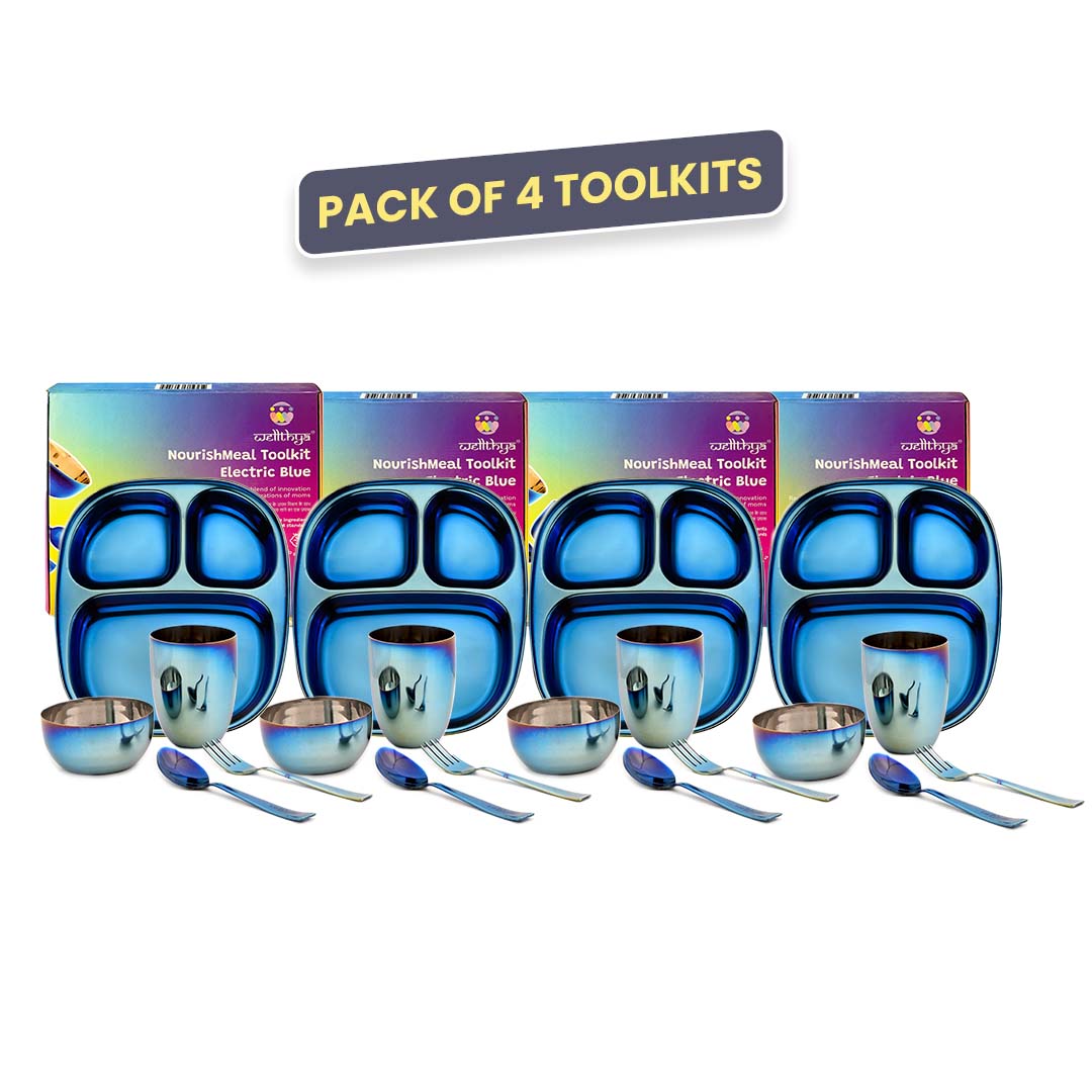 Electric Blue Steel Dinnerware Set – 4-Pack Family Toolkit