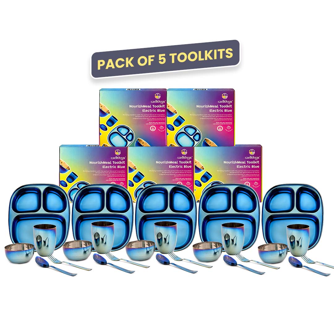 Electric Blue Steel Dinnerware Set – 5-Pack Family Toolkit