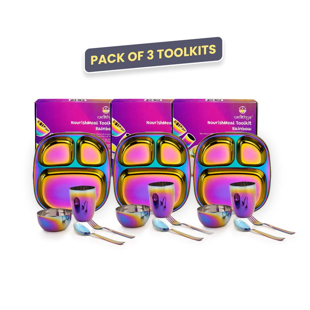 Rainbow Colour Steel Dinnerware Set – 3-Pack Family Toolkit