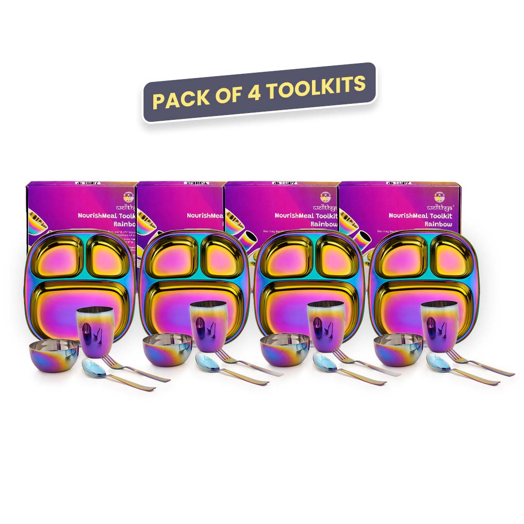 Rainbow Colour Steel Dinnerware Set – 4-Pack Family Toolkit