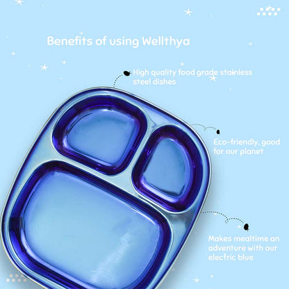 Electric Blue Steel Plate - Divided Dinner Plates