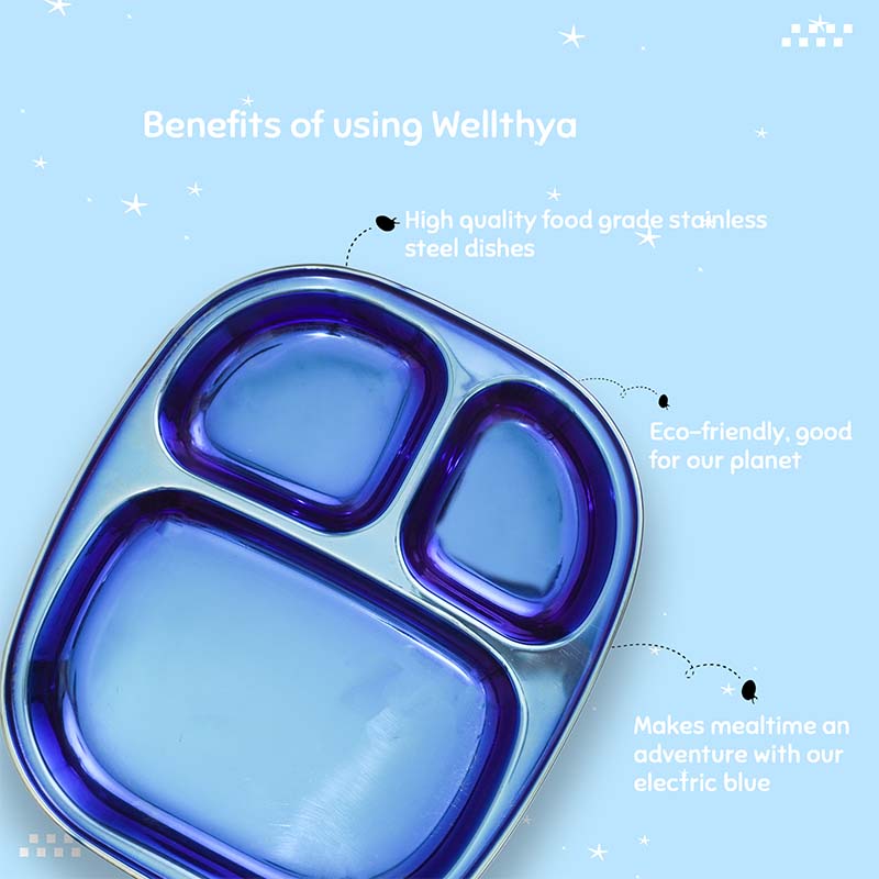 Electric Blue Steel Plate - Divided Dinner Plates