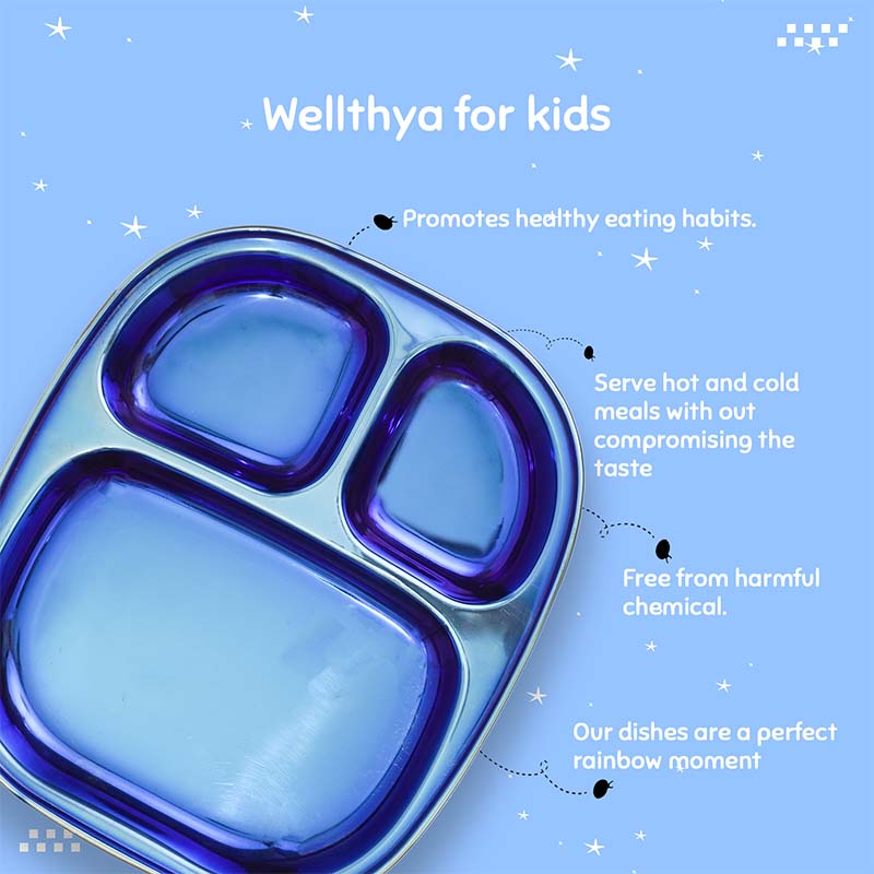 Electric Blue Steel Plate - Divided Dinner Plates